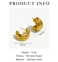 Load image into Gallery viewer, Chunky Double Hoop Gold Earring
