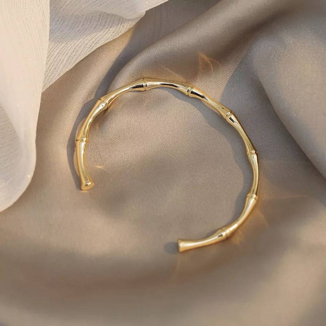 Gold Color Bone Bangle Bracelet
